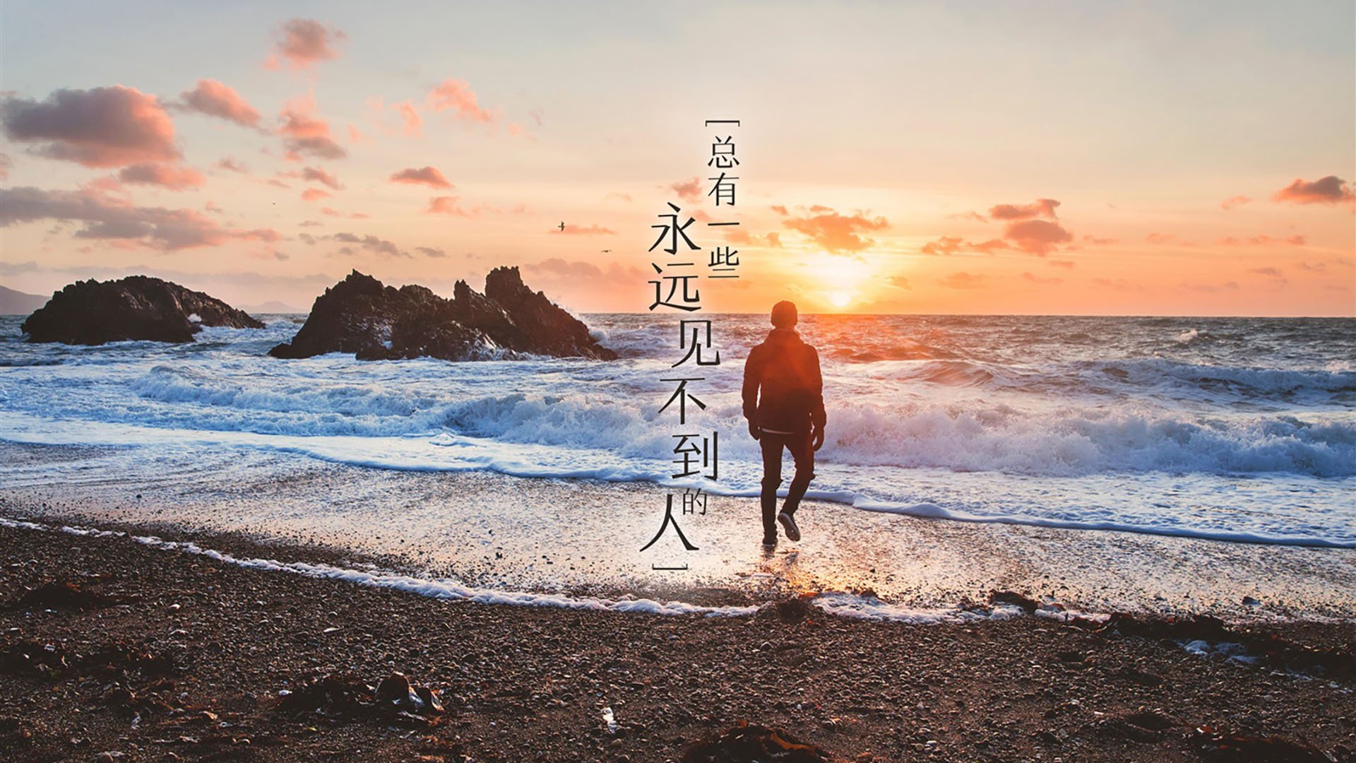 女足联赛关注度持续上升，女足上热搜