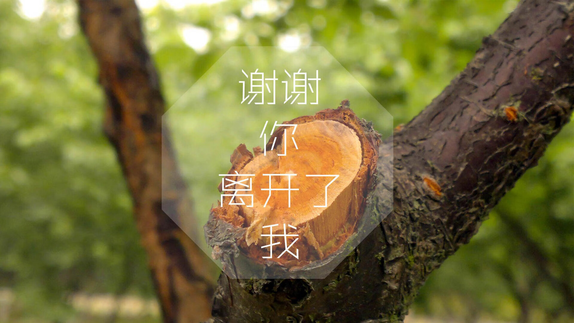 im电竞官网首页-阿尔巴尼亚战胜安道尔，双方实力对比不容忽视，阿尔巴尼亚是哪
