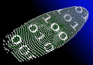 im体育电脑版-运动表现评估技术的可靠性与实用性分析，运动表现测试与评估指南